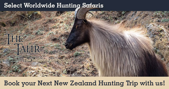 Tahr Hunting in New Zealand