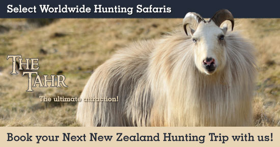 Hunting Tahr in New Zealand