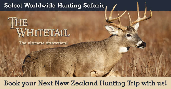 Whitetail Hunting in New Zealand