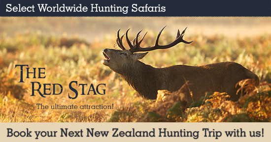 Hunting Red Stag in New Zealand